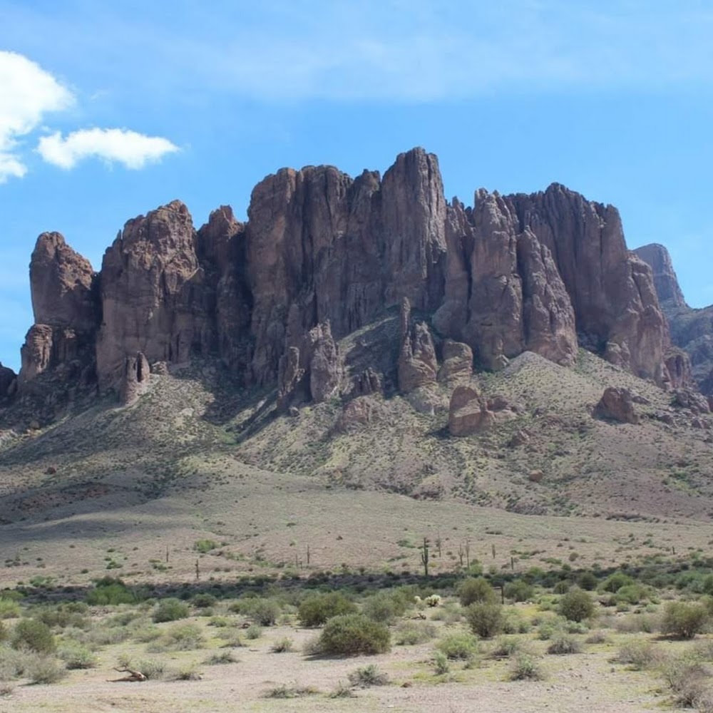 Meet your Posher, Holly